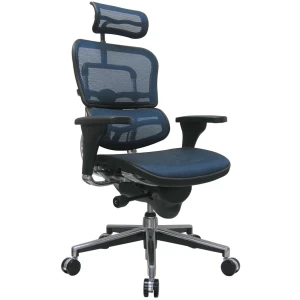 Ergohuman-Mesh-High-Back-Office-Chair-By-Eurotech-Seating-2