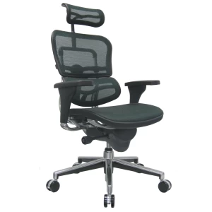 Ergohuman-Mesh-High-Back-Office-Chair-By-Eurotech-Seating-3