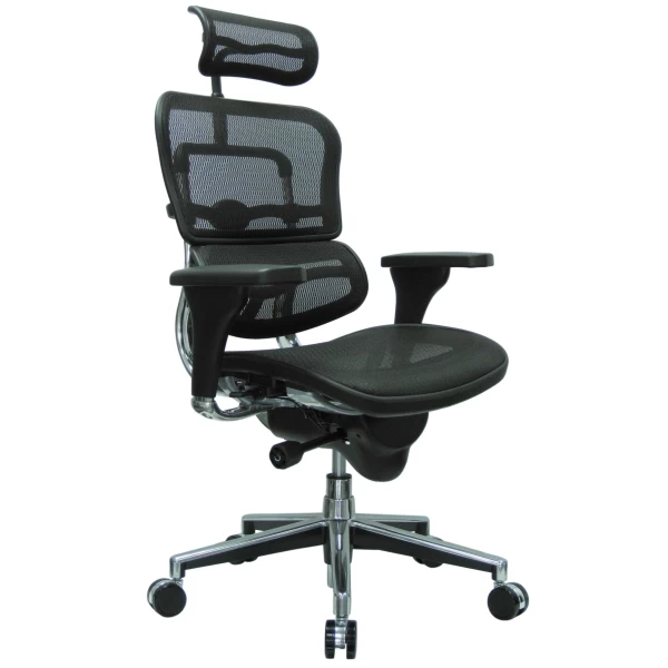 Ergohuman-Mesh-High-Back-Office-Chair-By-Eurotech-Seating