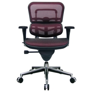 Ergohuman-Mesh-Mid-Back-Office-Chair-By-Eurotech-Seating-1