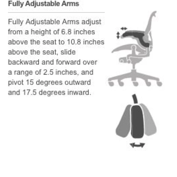 Aeron Fully Loaded Adjustable Lumbar - Titanium - By Herman Miller -  Madison Seating