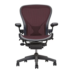 aeron-chair-by-herman-miller-garnet-posture-fit[1]